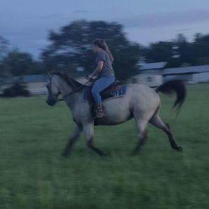 Meet your Posher, Jillian